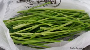 Collect parsley stems for stock