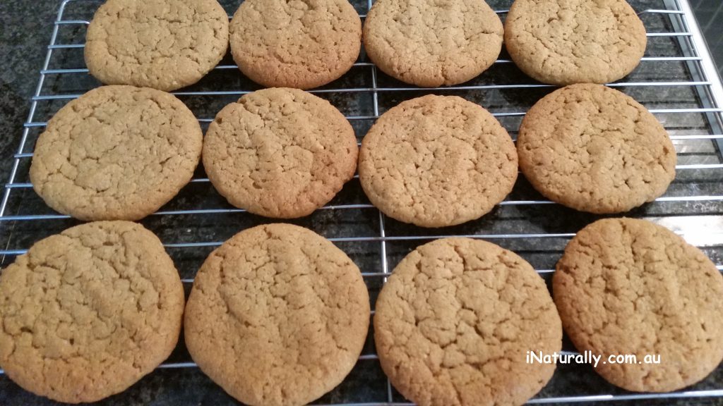 Peanut Butter Biscuits (GF) iNaturally