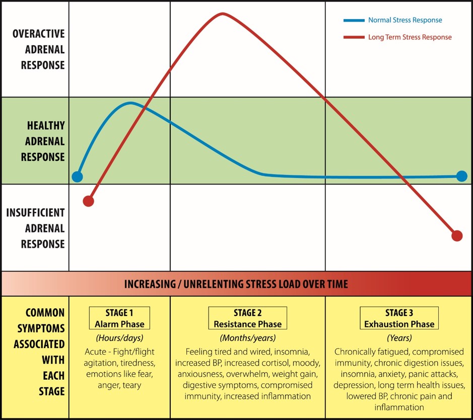 Chronic Cycle Chart